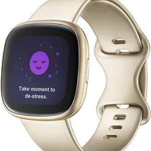 COPY - Fitbit versa 3 band